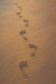 Walk in the Way of Love